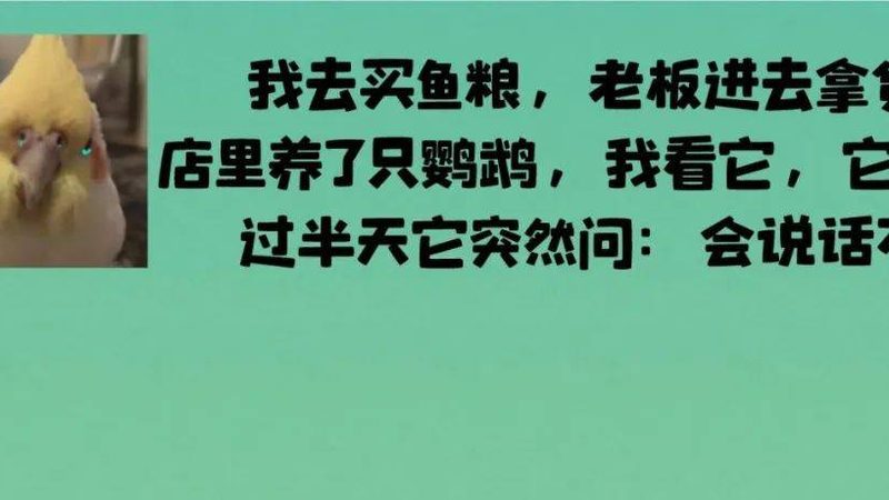 揭秘手工糖果加盟：加盟费背后的真相