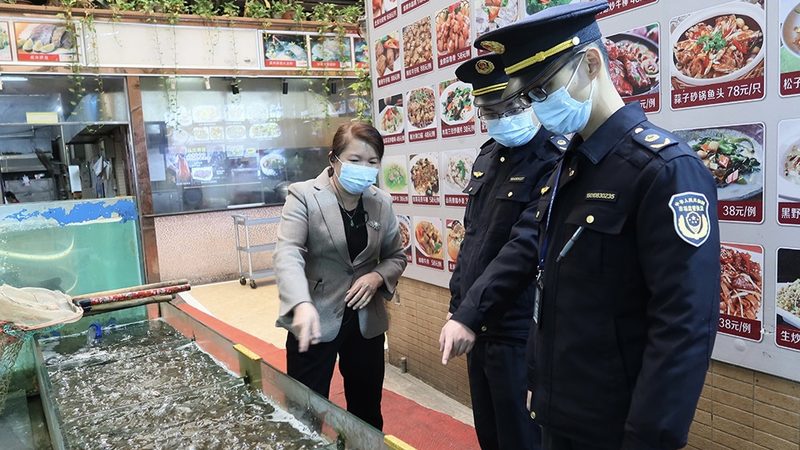 酥性饼干与韧性饼干：质地差异背后的奥秘